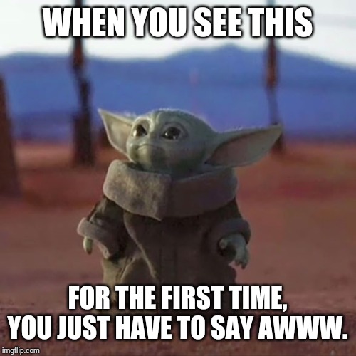 Baby Yoda | WHEN YOU SEE THIS; FOR THE FIRST TIME, YOU JUST HAVE TO SAY AWWW. | image tagged in baby yoda | made w/ Imgflip meme maker