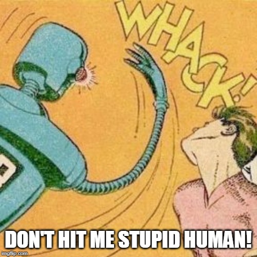 Robot slaps human | DON'T HIT ME STUPID HUMAN! | image tagged in robot slaps human | made w/ Imgflip meme maker