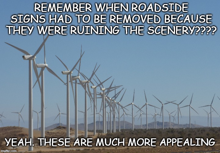 Roadside Scenery | REMEMBER WHEN ROADSIDE SIGNS HAD TO BE REMOVED BECAUSE THEY WERE RUINING THE SCENERY???? YEAH. THESE ARE MUCH MORE APPEALING | image tagged in scenery pollution,ugly roadsides,roadside signs | made w/ Imgflip meme maker