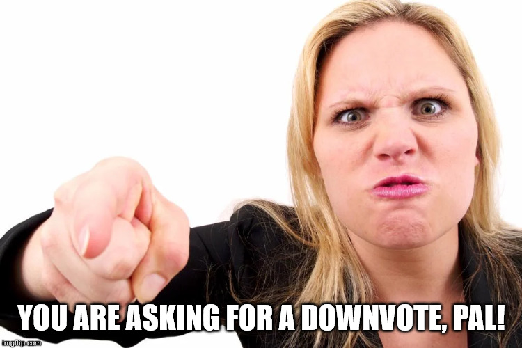 Offended woman | YOU ARE ASKING FOR A DOWNVOTE, PAL! | image tagged in offended woman | made w/ Imgflip meme maker