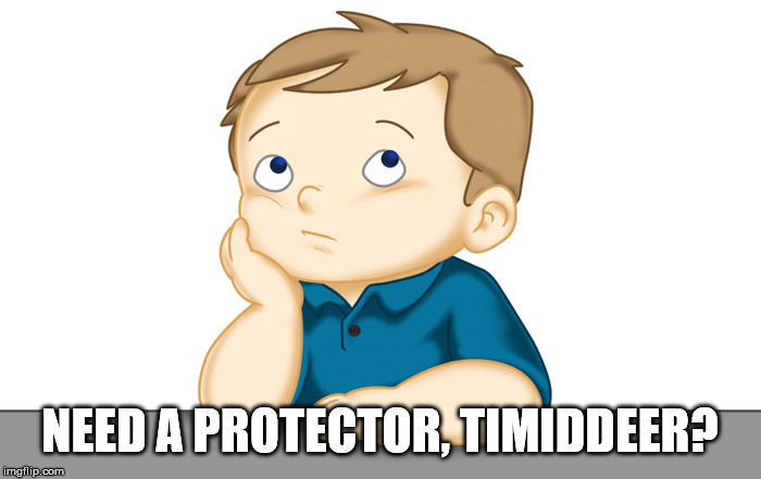 Thinking boy | NEED A PROTECTOR, TIMIDDEER? | image tagged in thinking boy | made w/ Imgflip meme maker