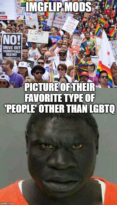 IMGFLIP MODS; PICTURE OF THEIR FAVORITE TYPE OF 'PEOPLE' OTHER THAN LGBTQ | image tagged in niggerest nigger,queers aids | made w/ Imgflip meme maker