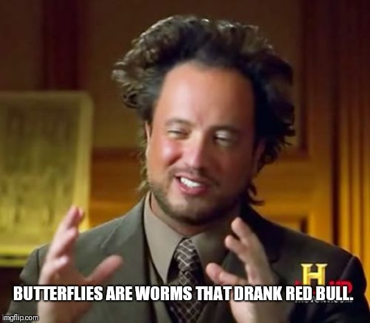 Ancient Aliens Meme | BUTTERFLIES ARE WORMS THAT DRANK RED BULL. | image tagged in memes,ancient aliens | made w/ Imgflip meme maker