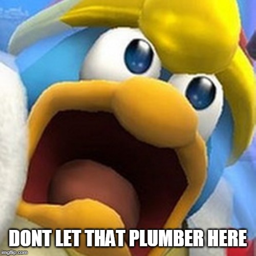 King Dedede oh shit face | DONT LET THAT PLUMBER HERE | image tagged in king dedede oh shit face | made w/ Imgflip meme maker