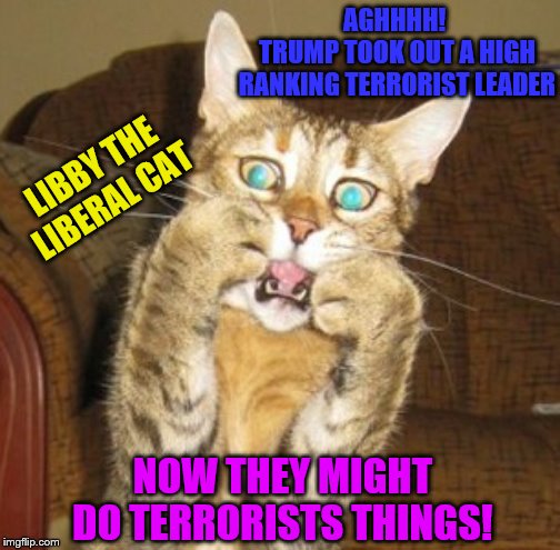 Yellow-Bellied Libby | AGHHHH! 
TRUMP TOOK OUT A HIGH RANKING TERRORIST LEADER; LIBBY THE LIBERAL CAT; NOW THEY MIGHT DO TERRORISTS THINGS! | image tagged in scared cat,memes,politics | made w/ Imgflip meme maker