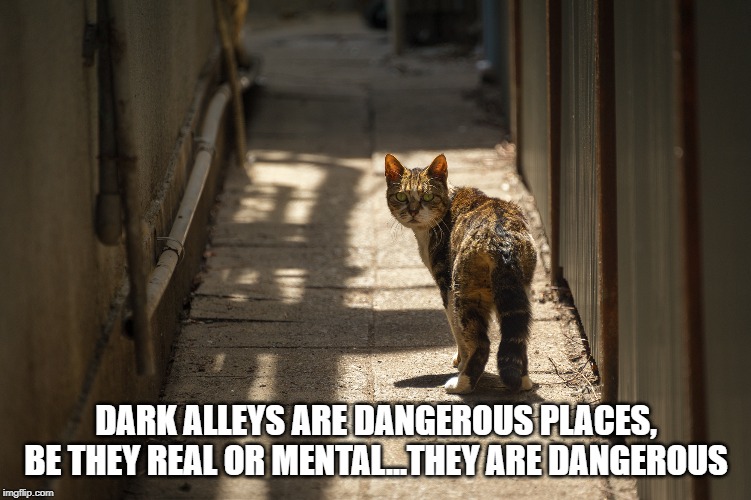 dark places are scary | DARK ALLEYS ARE DANGEROUS PLACES, BE THEY REAL OR MENTAL...THEY ARE DANGEROUS | image tagged in dark places,scaredy cat,cat humor | made w/ Imgflip meme maker