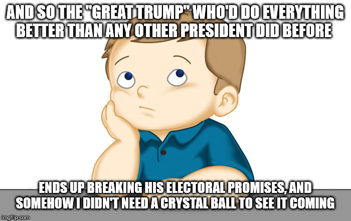 Thinking boy | AND SO THE "GREAT TRUMP" WHO'D DO EVERYTHING BETTER THAN ANY OTHER PRESIDENT DID BEFORE ENDS UP BREAKING HIS ELECTORAL PROMISES, AND SOMEHOW | image tagged in thinking boy | made w/ Imgflip meme maker