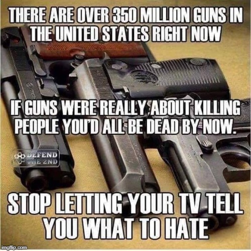 stop hating guns, stop watching tv | image tagged in guns,2a,tv propaganda | made w/ Imgflip meme maker