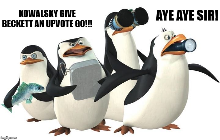 penquines | KOWALSKY GIVE BECKETT AN UPVOTE GO!!! AYE AYE SIR! | image tagged in penquines | made w/ Imgflip meme maker