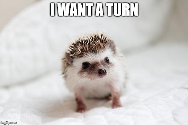hedgehog  | I WANT A TURN | image tagged in hedgehog | made w/ Imgflip meme maker