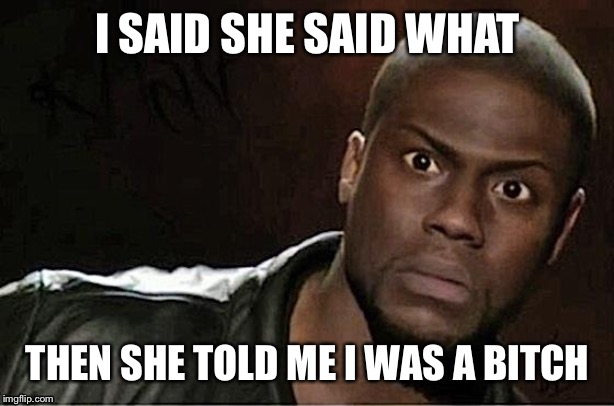 That girl crazy | I SAID SHE SAID WHAT; THEN SHE TOLD ME I WAS A BITCH | image tagged in memes,kevin hart,crazy girl,black man,black girl,hell no | made w/ Imgflip meme maker