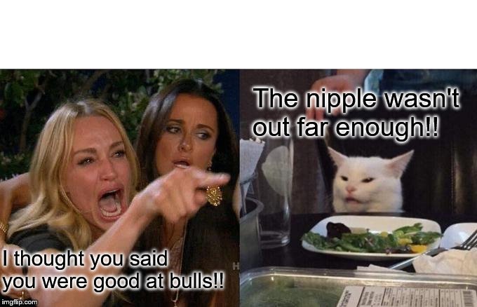 Woman Yelling At Cat | The nipple wasn't out far enough!! I thought you said you were good at bulls!! | image tagged in memes,woman yelling at cat | made w/ Imgflip meme maker