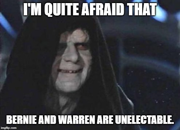 Emperor Palpatine  | I'M QUITE AFRAID THAT; BERNIE AND WARREN ARE UNELECTABLE. | image tagged in emperor palpatine | made w/ Imgflip meme maker
