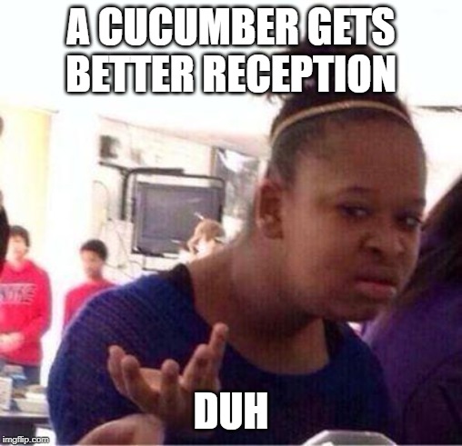 Wut? | A CUCUMBER GETS BETTER RECEPTION DUH | image tagged in wut | made w/ Imgflip meme maker