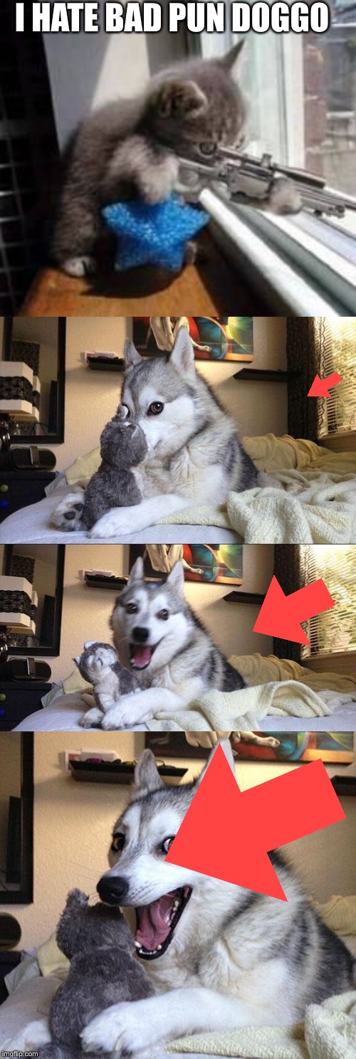 I HATE BAD PUN DOGGO | image tagged in memes,bad pun dog,sniper cat | made w/ Imgflip meme maker