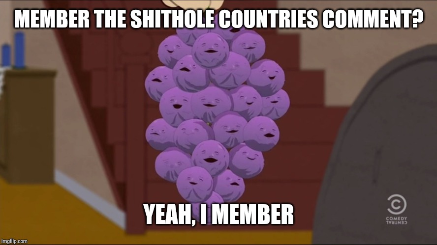 Member Berries Meme | MEMBER THE SHITHOLE COUNTRIES COMMENT? YEAH, I MEMBER | image tagged in memes,member berries | made w/ Imgflip meme maker