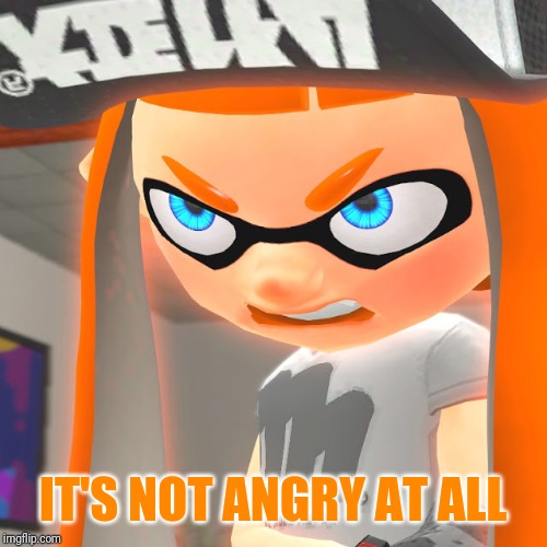 IT'S NOT ANGRY AT ALL | image tagged in angry woomy | made w/ Imgflip meme maker