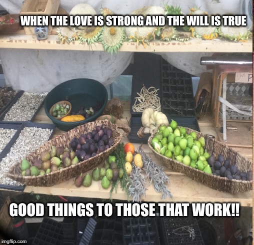 Good things | WHEN THE LOVE IS STRONG AND THE WILL IS TRUE; GOOD THINGS TO THOSE THAT WORK!! | image tagged in garden | made w/ Imgflip meme maker