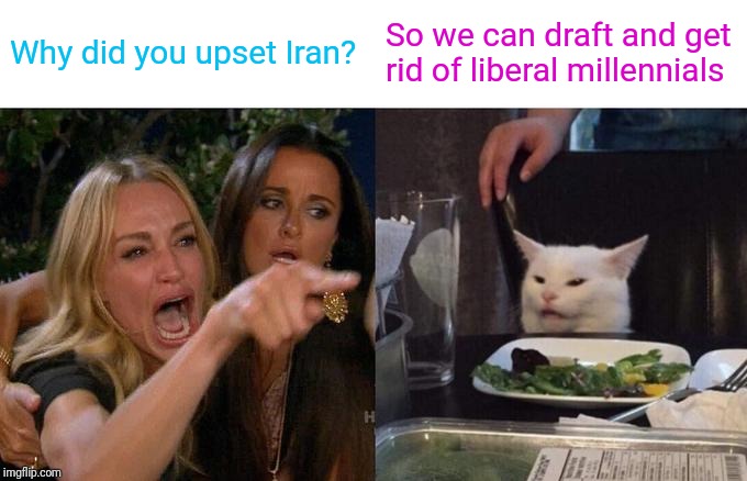 Woman Yelling At Cat | Why did you upset Iran? So we can draft and get rid of liberal millennials | image tagged in memes,woman yelling at cat | made w/ Imgflip meme maker