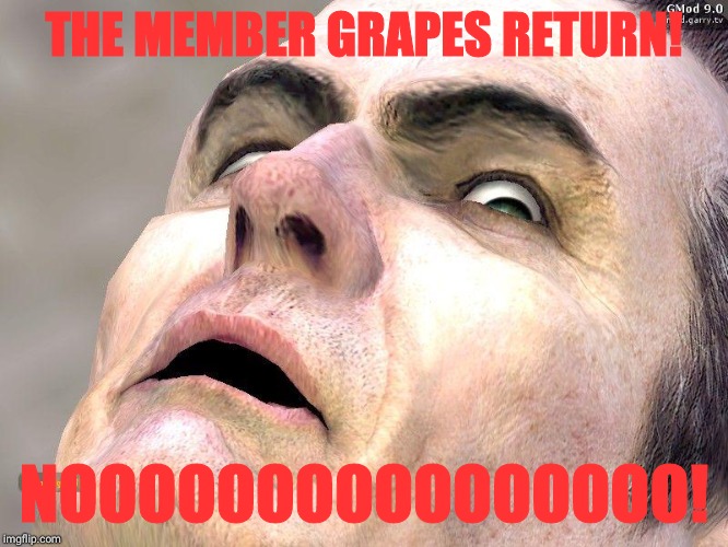 . | THE MEMBER GRAPES RETURN! NOOOOOOOOOOOOOOOO! | image tagged in g-man from half-life | made w/ Imgflip meme maker
