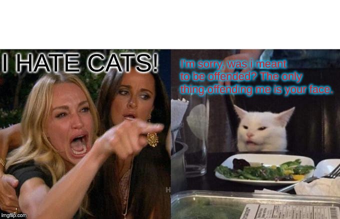 Woman Yelling At Cat | I HATE CATS! I'm sorry, was i meant to be offended? The only thing offending me is your face. | image tagged in memes,woman yelling at cat | made w/ Imgflip meme maker