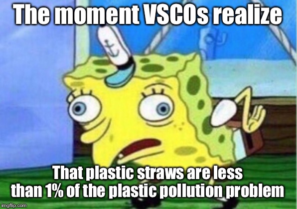 Mocking Spongebob | The moment VSCOs realize; That plastic straws are less than 1% of the plastic pollution problem | image tagged in memes,mocking spongebob | made w/ Imgflip meme maker