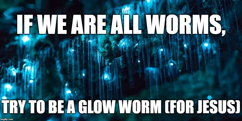 Glow Worms | IF WE ARE ALL WORMS, TRY TO BE A GLOW WORM (FOR JESUS) | image tagged in glow worms | made w/ Imgflip meme maker