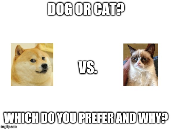 Blank White Template | DOG OR CAT? VS. WHICH DO YOU PREFER AND WHY? | image tagged in blank white template | made w/ Imgflip meme maker