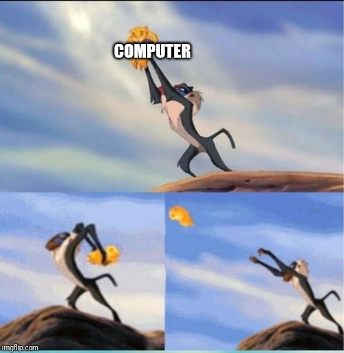 lion being yeeted | COMPUTER | image tagged in lion being yeeted | made w/ Imgflip meme maker
