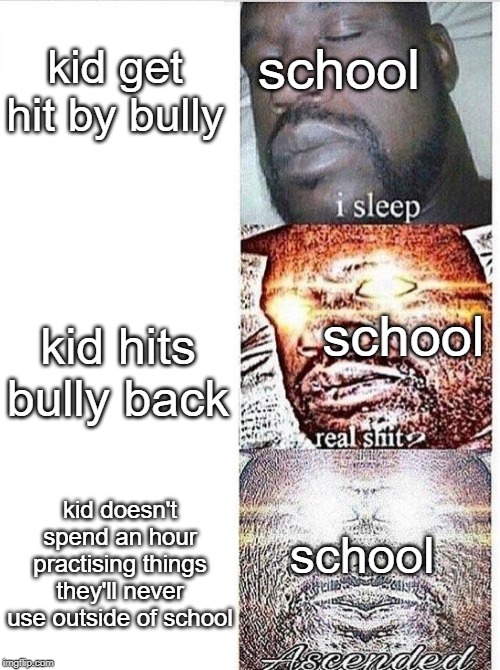 I sleep meme with ascended template | school; kid get hit by bully; school; kid hits bully back; kid doesn't spend an hour practising things they'll never use outside of school; school | image tagged in i sleep meme with ascended template | made w/ Imgflip meme maker
