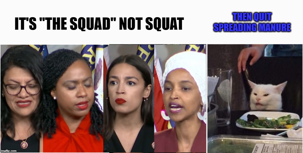 the squad | THEN QUIT SPREADING MANURE; IT'S "THE SQUAD" NOT SQUAT | image tagged in smudge,the squad,manure | made w/ Imgflip meme maker