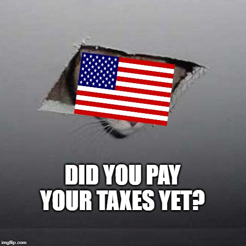 Ceiling Cat Meme | DID YOU PAY YOUR TAXES YET? | image tagged in memes,ceiling cat | made w/ Imgflip meme maker