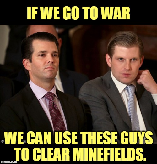 They're utterly useless for anything else. | IF WE GO TO WAR; WE CAN USE THESE GUYS 
TO CLEAR MINEFIELDS. | image tagged in donald jr and eric trump,trump,iran,war,nepotism | made w/ Imgflip meme maker