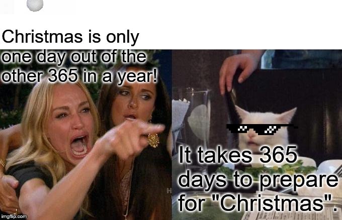 365 days to prepare | Christmas is only one day out of the other 365 in a year! It takes 365 days to prepare for "Christmas". | image tagged in memes,woman yelling at cat | made w/ Imgflip meme maker