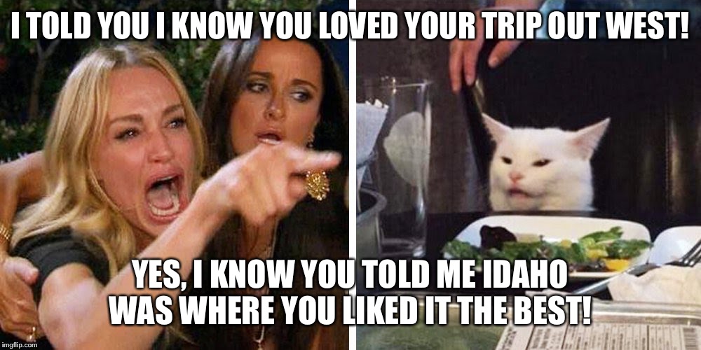 Smudge the cat | I TOLD YOU I KNOW YOU LOVED YOUR TRIP OUT WEST! YES, I KNOW YOU TOLD ME IDAHO WAS WHERE YOU LIKED IT THE BEST! | image tagged in smudge the cat | made w/ Imgflip meme maker