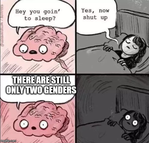 waking up brain | THERE ARE STILL ONLY TWO GENDERS | image tagged in waking up brain | made w/ Imgflip meme maker