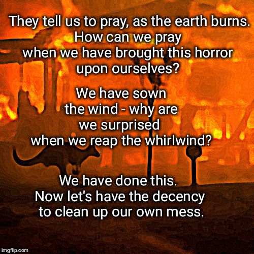 We have sown the wind | They tell us to pray, as the earth burns.

How can we pray 

when we have brought this horror 
upon ourselves? We have sown the wind - why are we surprised 
when we reap the whirlwind? We have done this. 
Now let's have the decency
 to clean up our own mess. | image tagged in climate change,global warming,fires | made w/ Imgflip meme maker