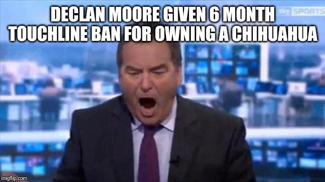 sky sports | DECLAN MOORE GIVEN 6 MONTH TOUCHLINE BAN FOR OWNING A CHIHUAHUA | image tagged in sky sports | made w/ Imgflip meme maker