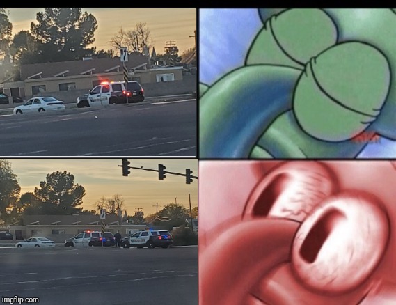 Squidward sleeping | image tagged in squidward sleeping,cops,cop cars,squidward,pulled over,funny | made w/ Imgflip meme maker