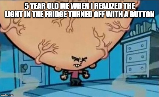 Big Brain timmy | 5 YEAR OLD ME WHEN I REALIZED THE LIGHT IN THE FRIDGE TURNED OFF WITH A BUTTON | image tagged in big brain timmy | made w/ Imgflip meme maker