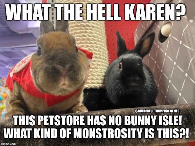 monstrosity | WHAT THE HELL KAREN? THIS PETSTORE HAS NO BUNNY ISLE! WHAT KIND OF MONSTROSITY IS THIS?! @BUNDERFUL THUMPING MEMES | image tagged in bugs bunny no,bunny,rabbit | made w/ Imgflip meme maker