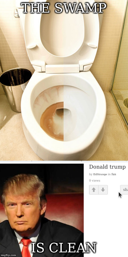 THE SWAMP IS CLEAN | image tagged in half cleaned toilet | made w/ Imgflip meme maker
