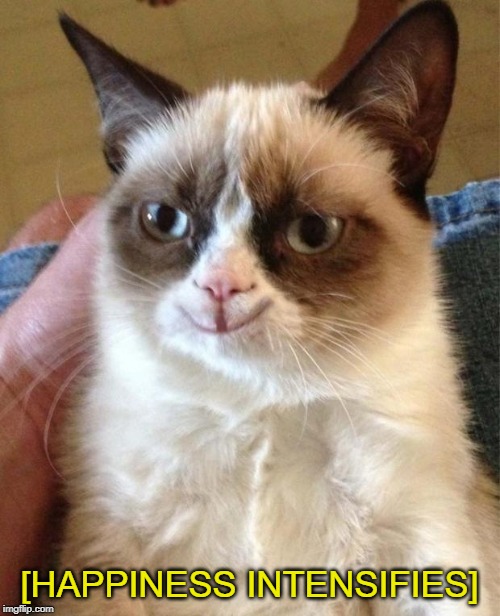 Happy grumpy cat | [HAPPINESS INTENSIFIES] | image tagged in happy grumpy cat | made w/ Imgflip meme maker