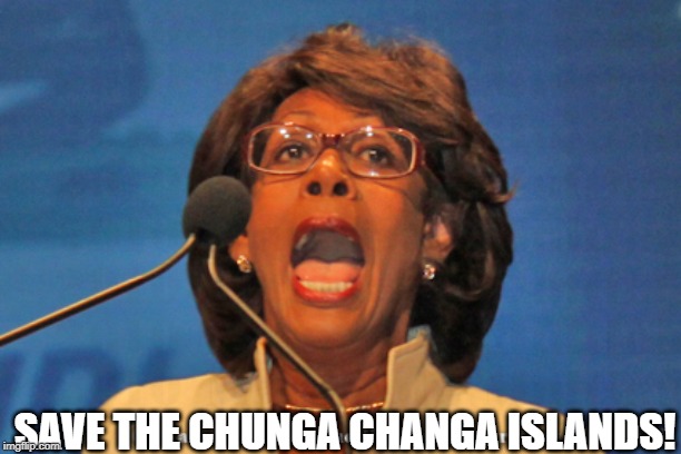 Maxine waters | SAVE THE CHUNGA CHANGA ISLANDS! | image tagged in maxine waters | made w/ Imgflip meme maker