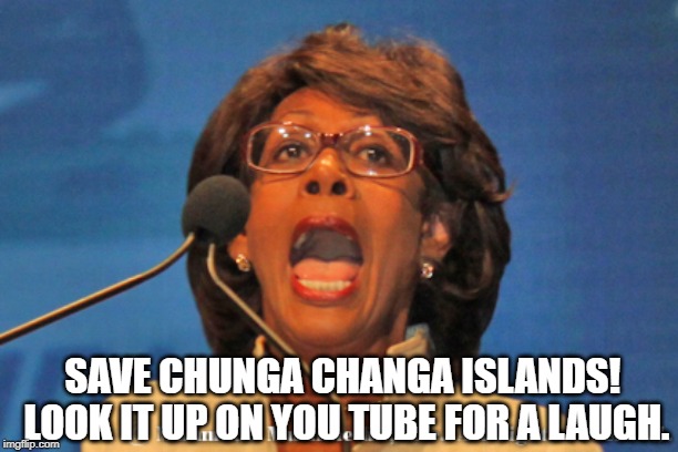 Maxine waters | SAVE CHUNGA CHANGA ISLANDS!  LOOK IT UP ON YOU TUBE FOR A LAUGH. | image tagged in maxine waters | made w/ Imgflip meme maker