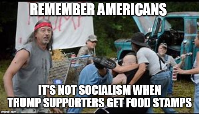 REMEMBER AMERICANS; IT'S NOT SOCIALISM WHEN TRUMP SUPPORTERS GET FOOD STAMPS | image tagged in trump supporters,donald trump,socialism,republicans | made w/ Imgflip meme maker