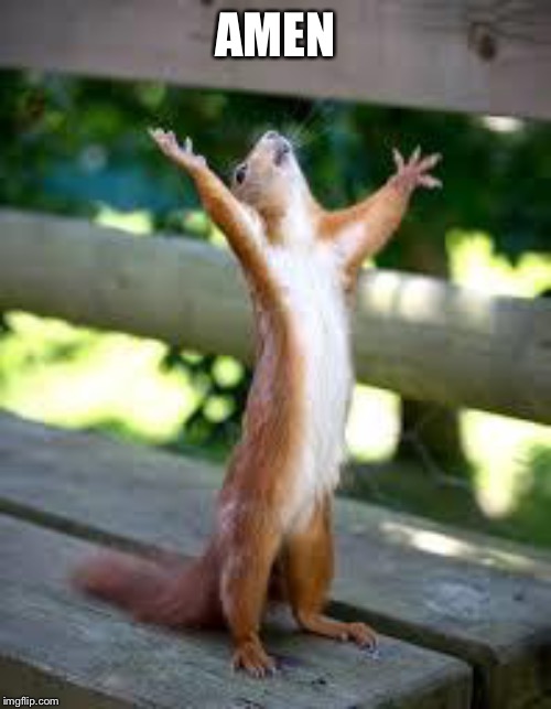 Praise Squirrel | AMEN | image tagged in praise squirrel | made w/ Imgflip meme maker