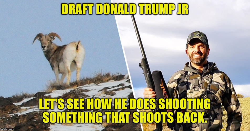 Send him to war | DRAFT DONALD TRUMP JR; LET'S SEE HOW HE DOES SHOOTING SOMETHING THAT SHOOTS BACK. | image tagged in donald trump jr | made w/ Imgflip meme maker