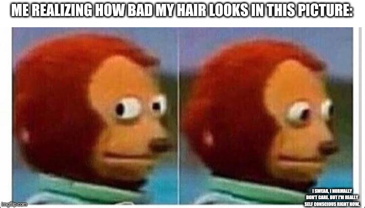 Awkward muppet | ME REALIZING HOW BAD MY HAIR LOOKS IN THIS PICTURE: I SWEAR, I NORMALLY DON'T CARE. BUT I'M REALLY SELF CONSCIOUS RIGHT NOW. | image tagged in awkward muppet | made w/ Imgflip meme maker
