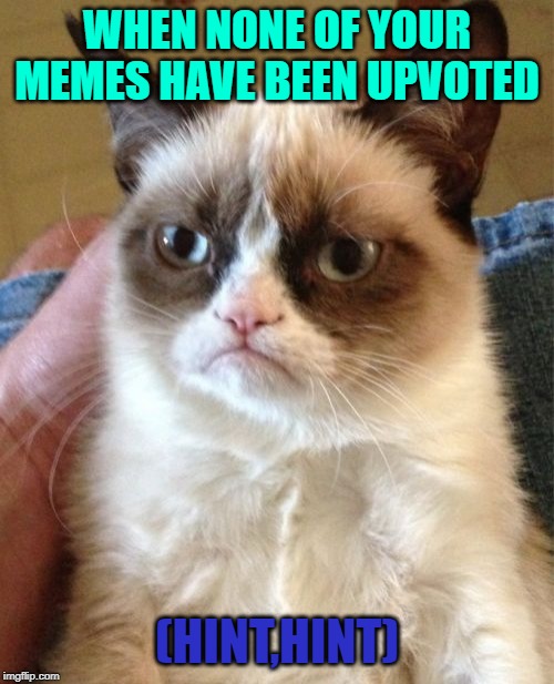 Grumpy Cat Meme | WHEN NONE OF YOUR MEMES HAVE BEEN UPVOTED; (HINT,HINT) | image tagged in memes,grumpy cat | made w/ Imgflip meme maker